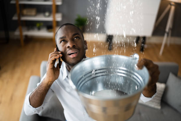 Best Flood damage cleanup  in Nesconset, NY
