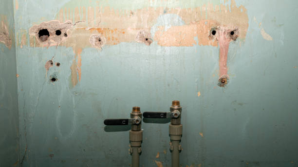 Best Basement water damage restoration  in Nesconset, NY