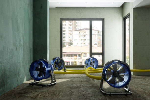 Best Water damage restoration near me  in Nesconset, NY